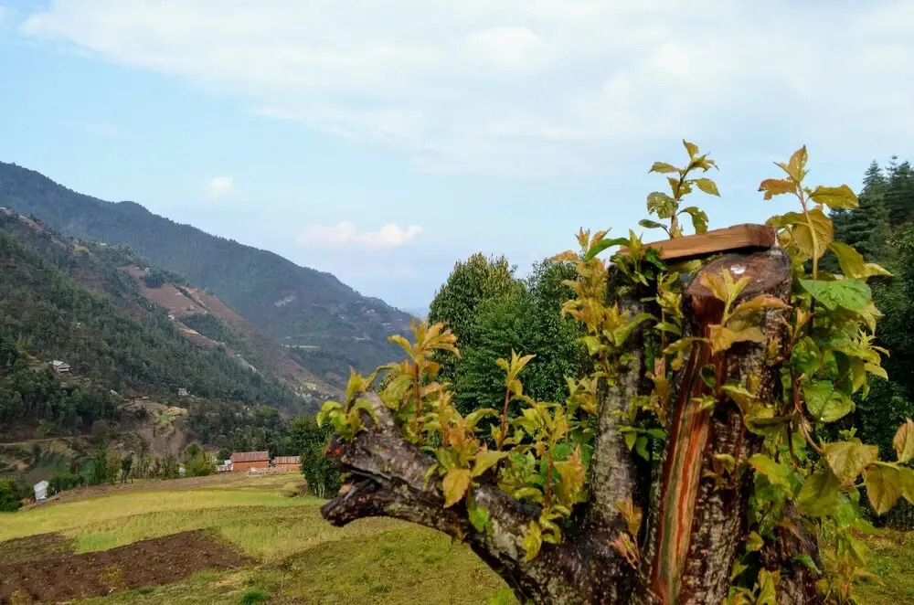 Retreat at Damaar