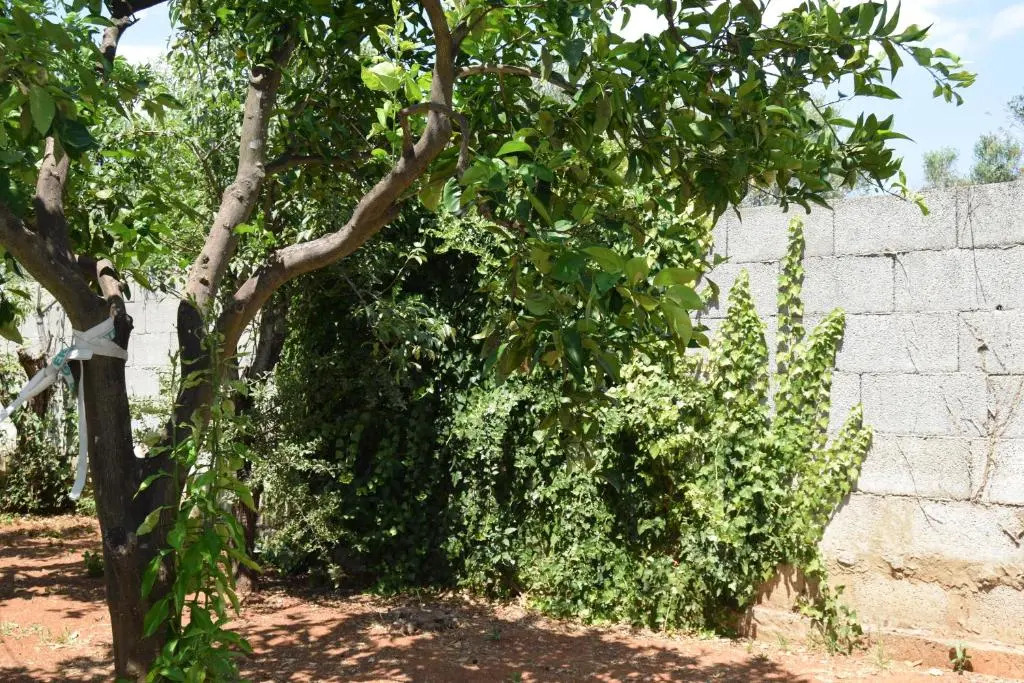 santa potenza