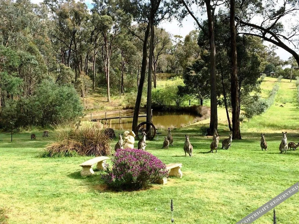 Countryside Connections Tranquil Studio