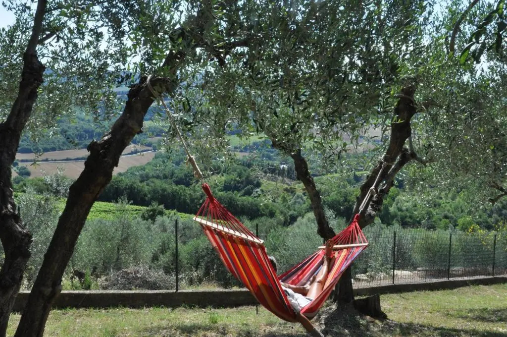 Agriturismo La Villa Romita
