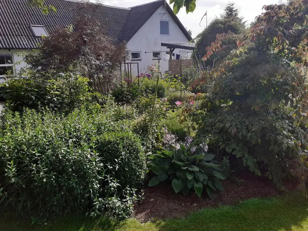 Brovst bed and breakfast