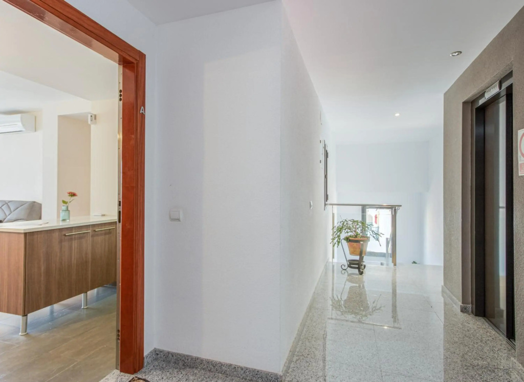 Apart-rent Apartamento Mimoses 0063