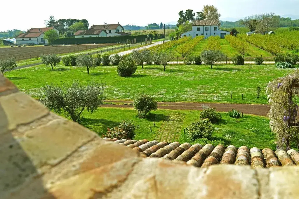 La Fornasaccia