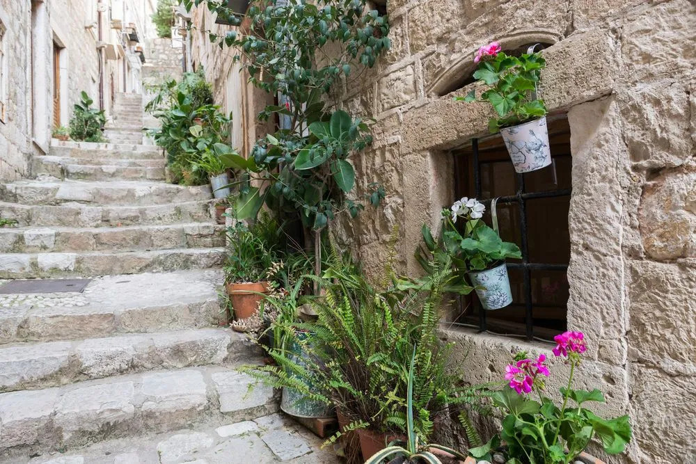 Divina Blue Apartments