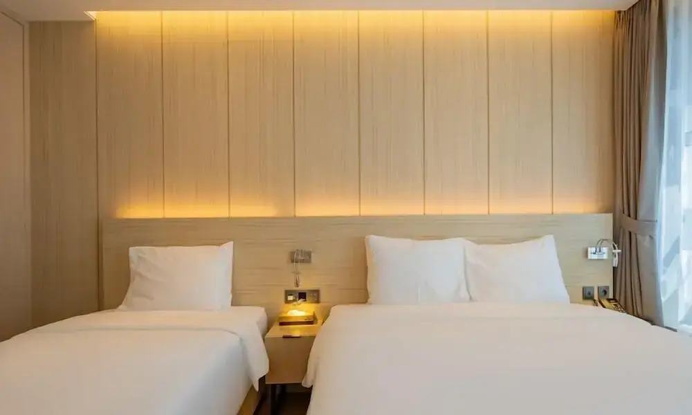 The Hound Hotel Bandalisland 2