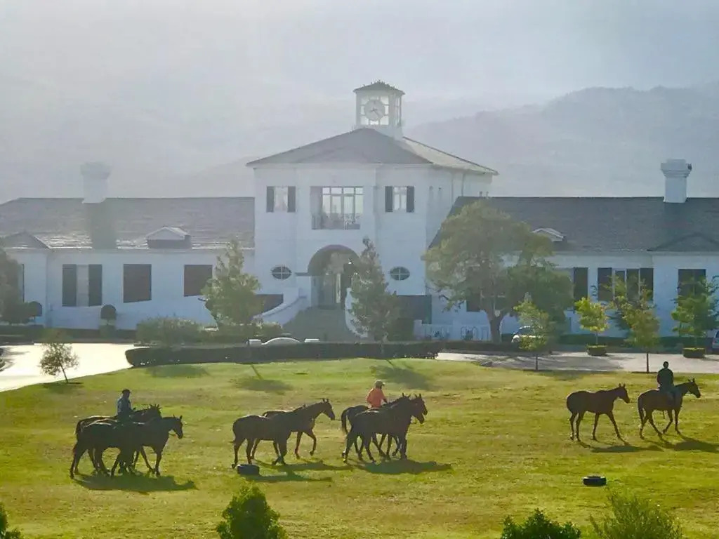 Polo Village 8 Val de Vie Estate