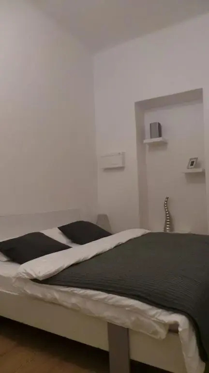 Apartment Sochařská