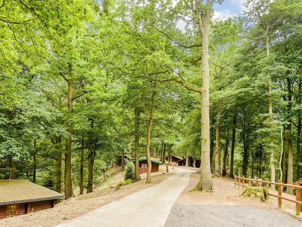 Hollies Lodge