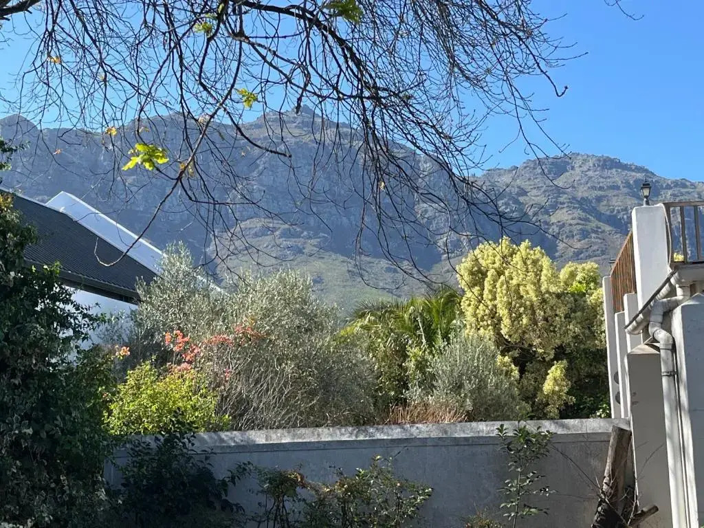 Paradyskloof Suite