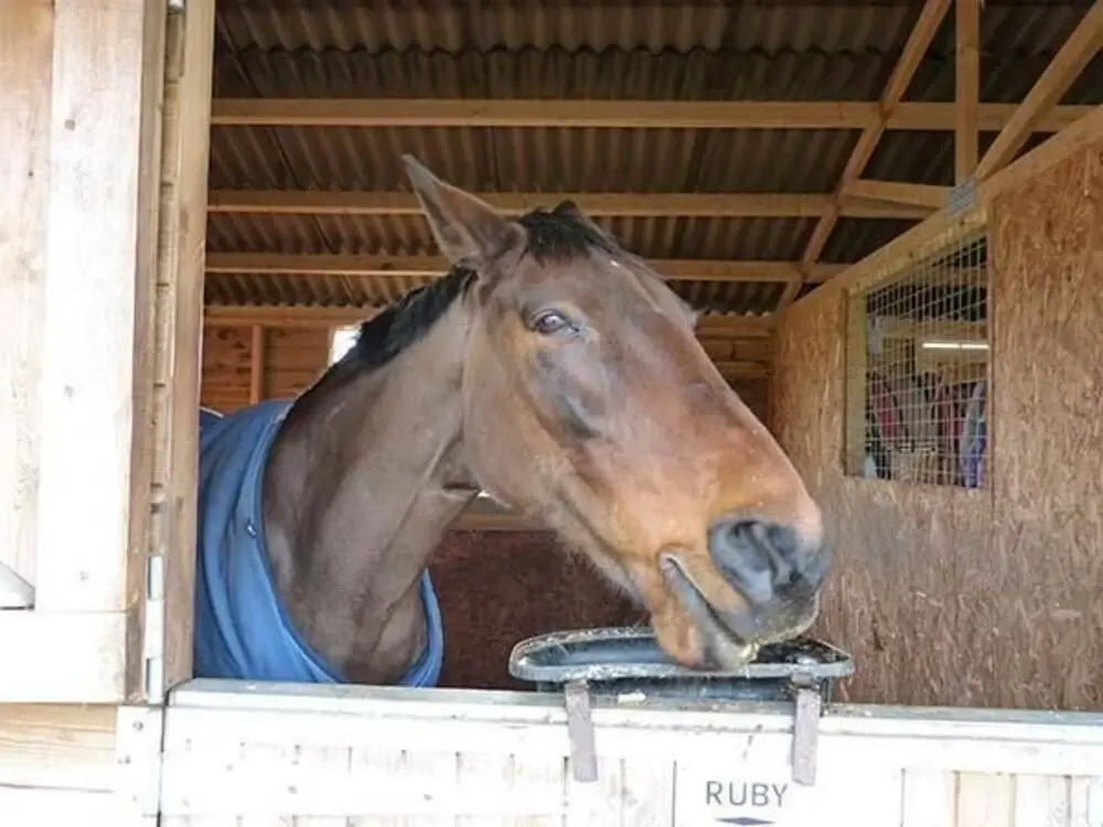 Folly Foot Barn
