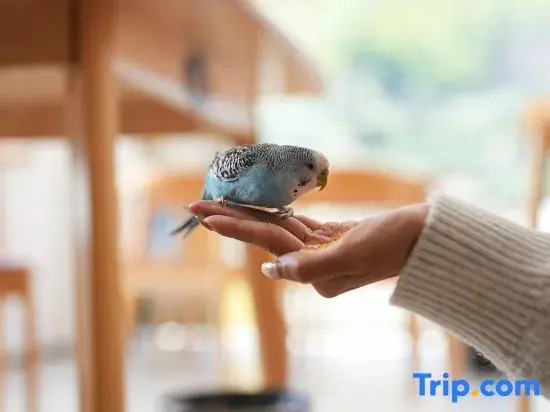 Mount Huangshan Wantinggou Homestay  (Mount Huangshan Tangkou South Gate Store)