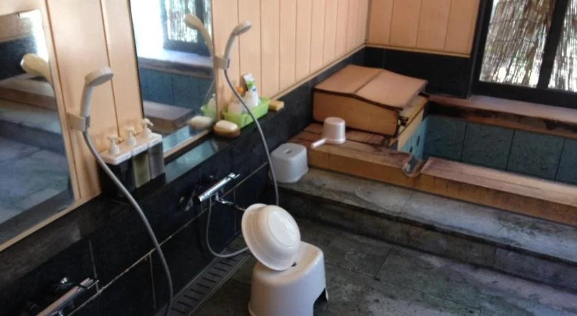 Pension Zozan
