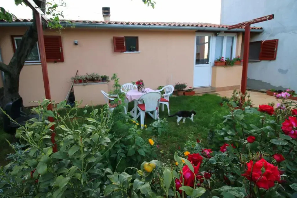 Apartment Matej