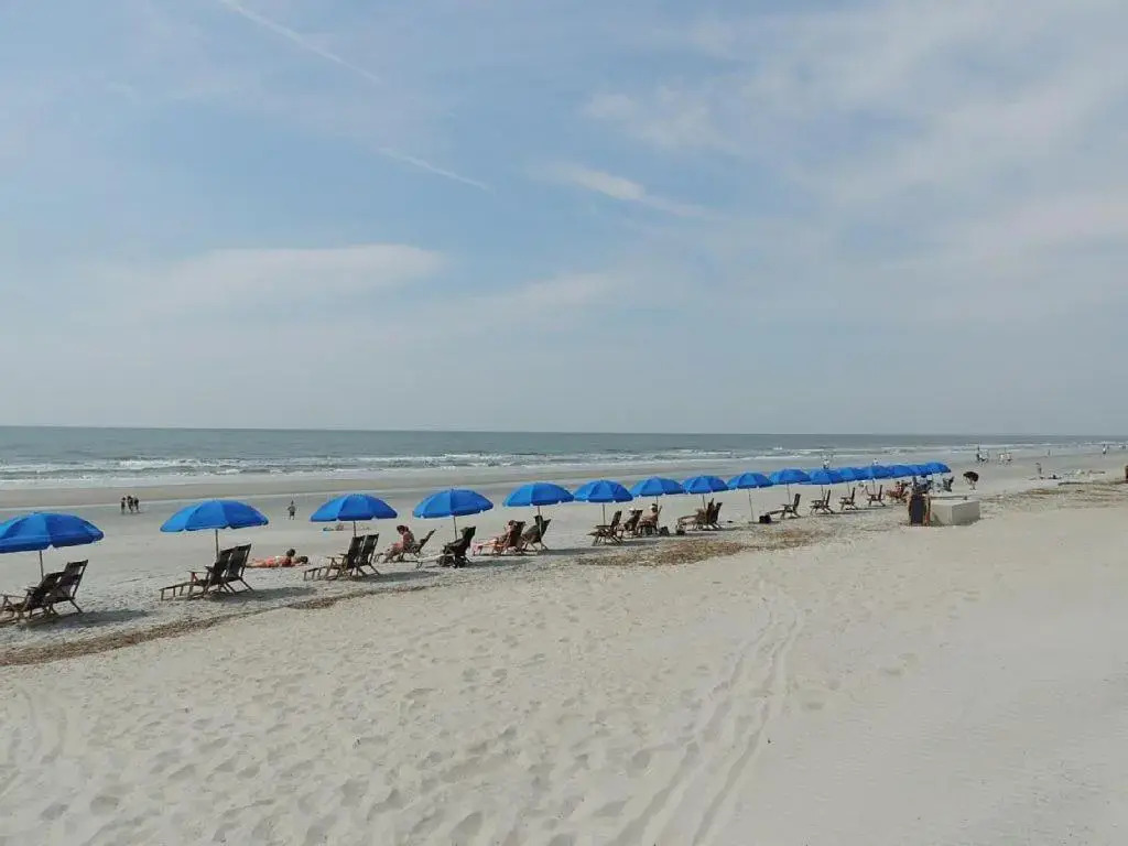 512 Oceanwalk 2 BR Forest Beach Condo