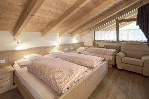 Apartment Ciasa Laoi