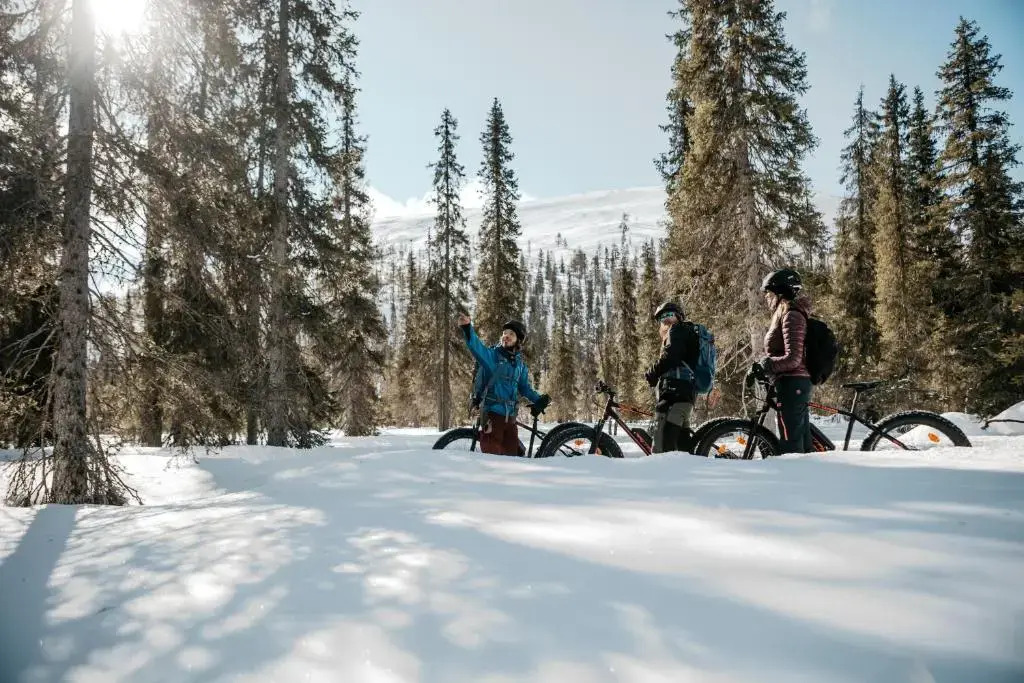 Lapland Hotels Luostotunturi