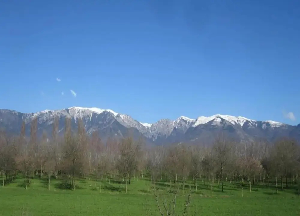 Modern Farmhouse in Pagnano Italy near Forest
