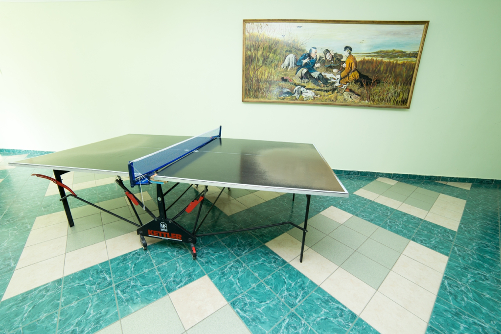 Sosnovyj bor, Minskaja oblast'