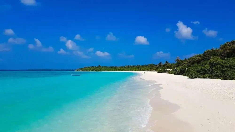 Arutha Resorts Ocho Lux by Eight Continents