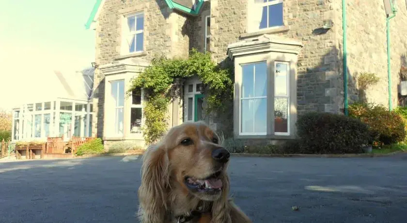 Hotel Ael Y Bryn