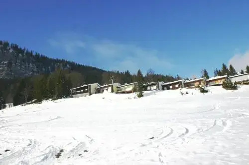 Ferienhaus Almrausch