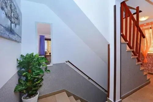 Apartments & Rooms As