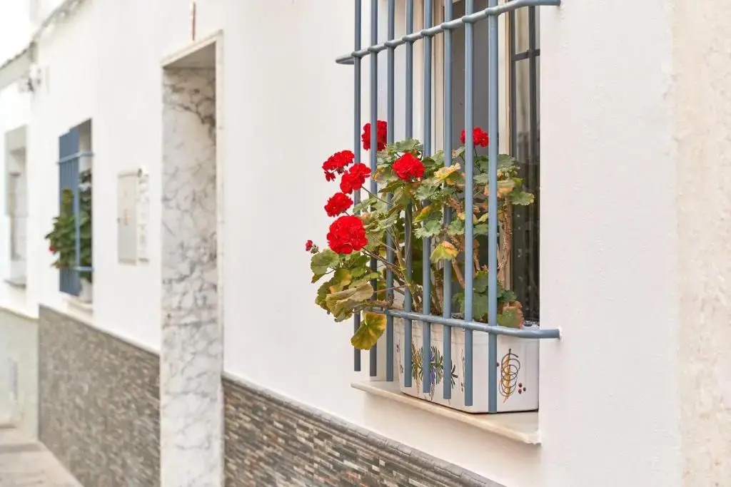 Apartment 250 M from the beach