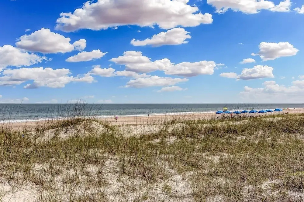 Tranquil 1BR Getaway in Fernandina Beach - Ocean View