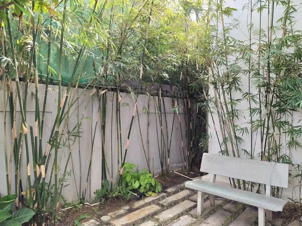 Bien Ngoc Hotel