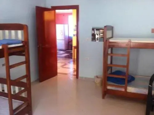 Dolphin Hostel