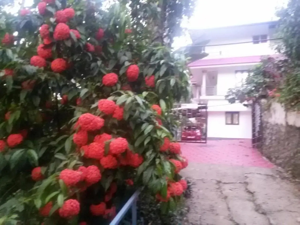 Mount Spring Valley Homestay