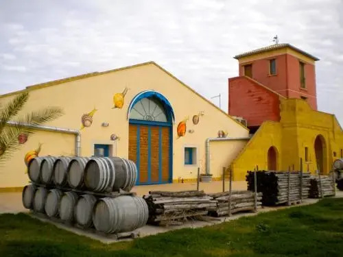 Azienda Agricola Cos