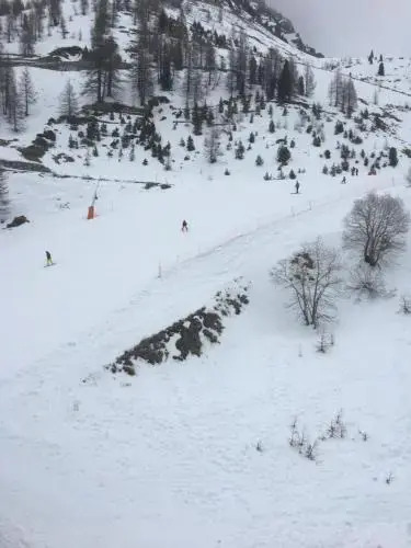 Le Petit Montagnard