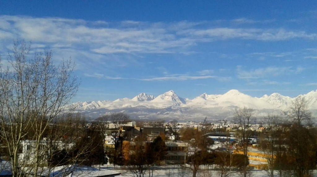 Mountain View Studio Apartment