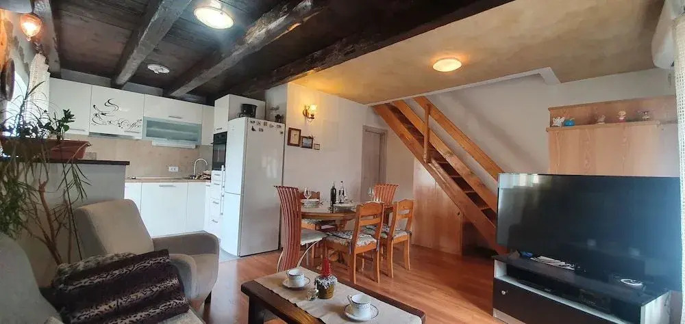 Apartment Igor