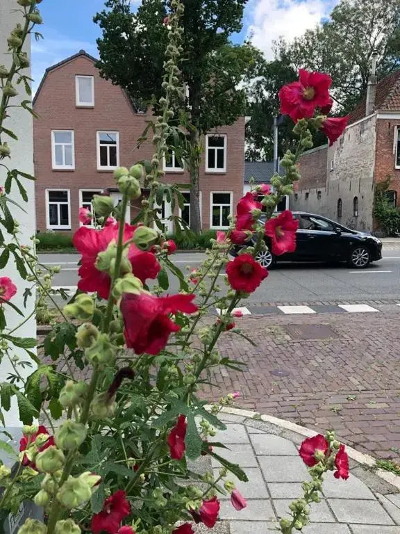 Apartment Bolwerkzicht