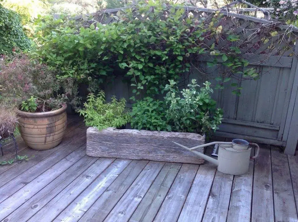 Hide and Seek B&B