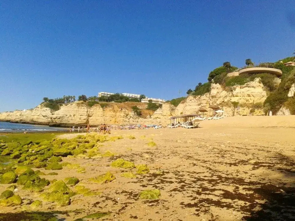 Villa With 3 Bedrooms in Armação de Pêra, With Wonderful sea View, Private Pool, Furnished Garden
