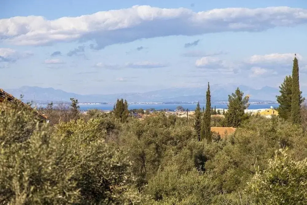 Apolpaina Luxury Apartments