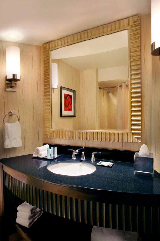 Hilton Rosemont Chicago OHare