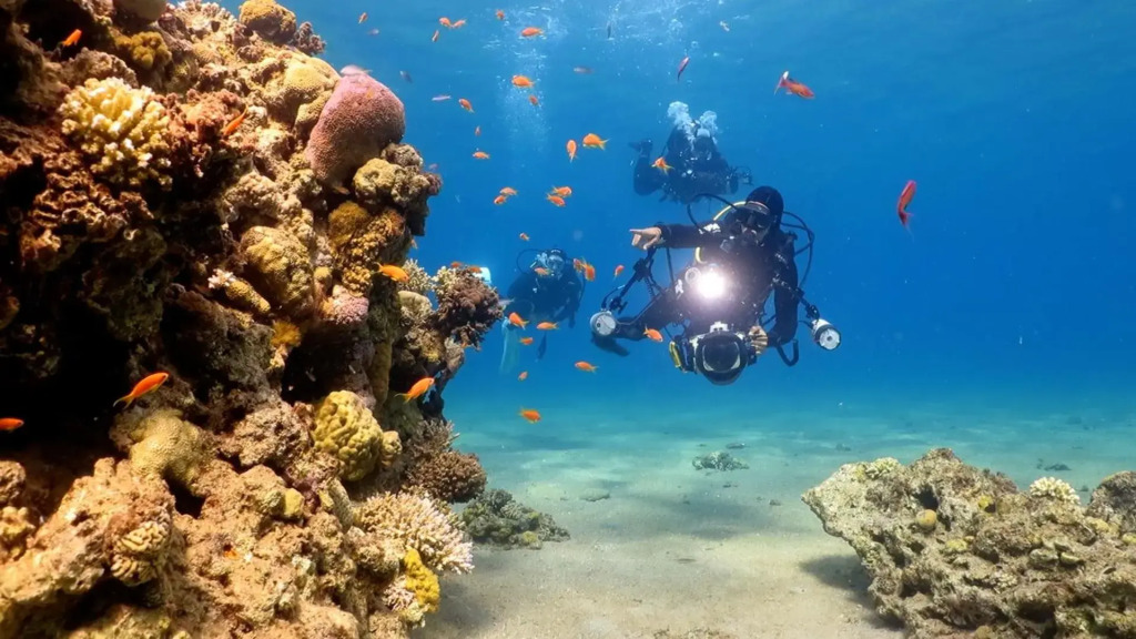 RAKEFET - Travelers House - EILAT