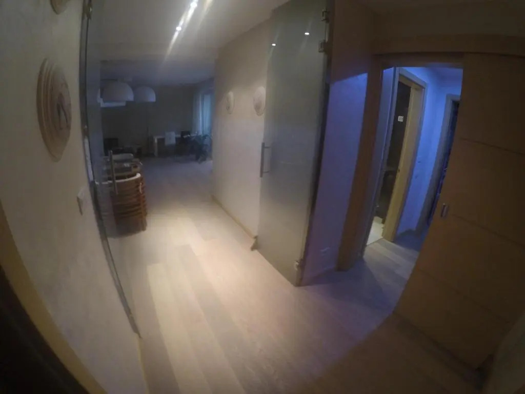 Anthurium Lux Apartment