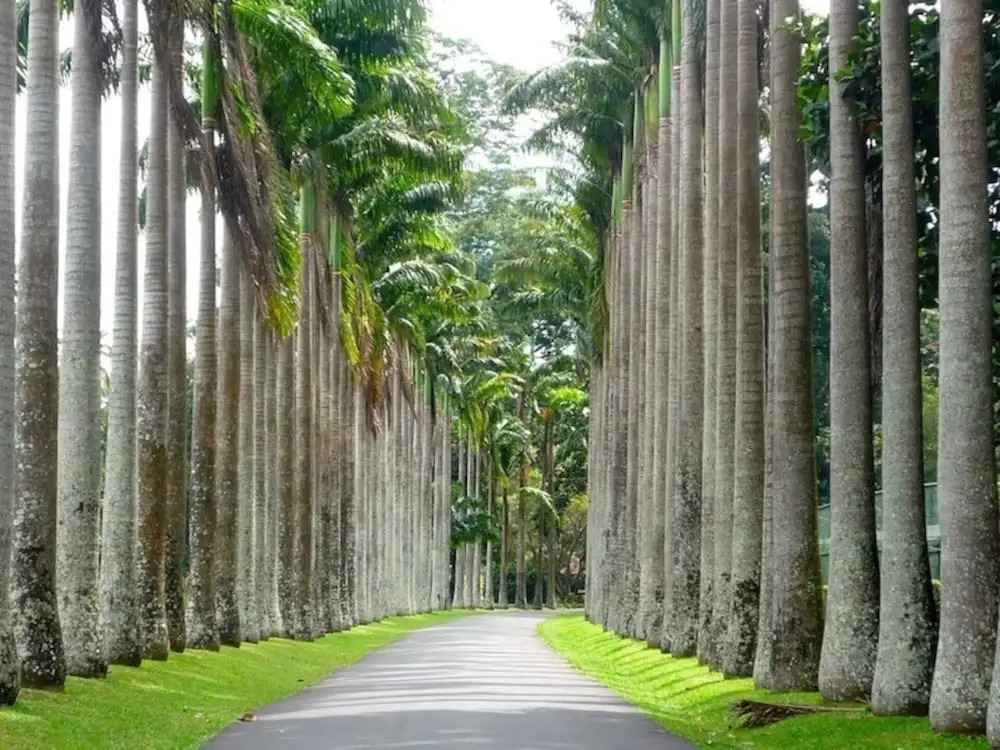 Explore Central Srilanka