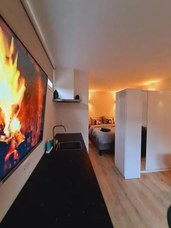 Studio Baarn with patio, airco, pantry, bedroom, bathroom, privacy - Amsterdam, Utrecht