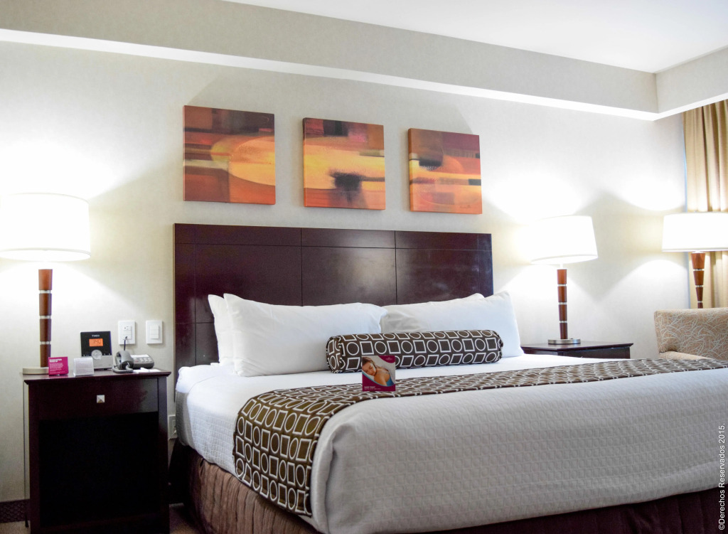Crowne Plaza Leon by IHG