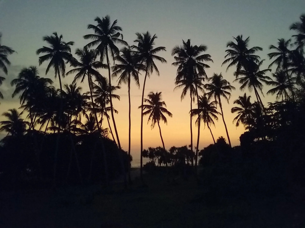 Ocean View