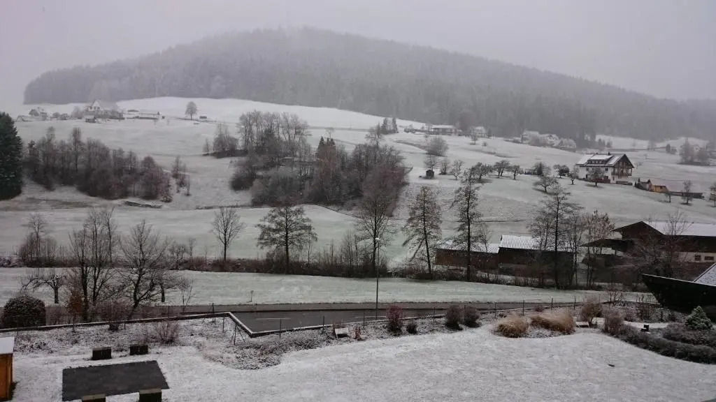 Waldblick
