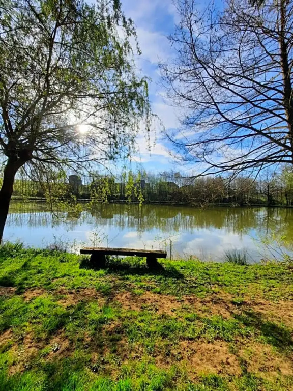 Les etangs du moulin d'Harcy