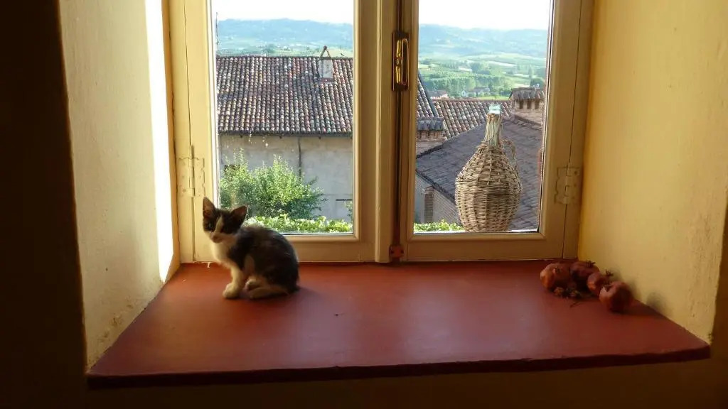 Casa Forster Langhe