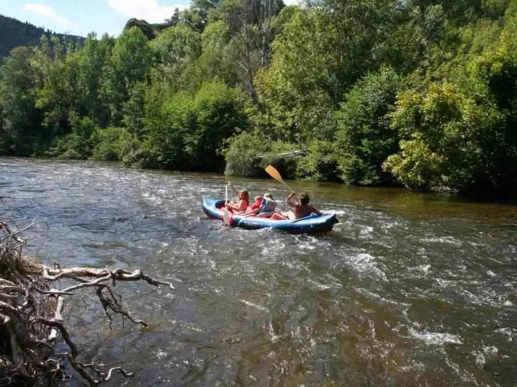 Gîte pittoresque en bord de rivière avec jardin clos, proche sports et sites touristiques - FR-1-582-176